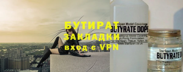 сатива Каменка