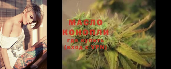 сатива Каменка