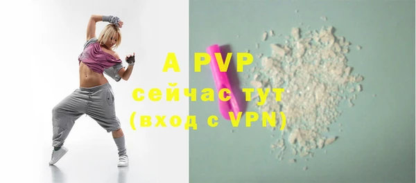 ECSTASY Тавда