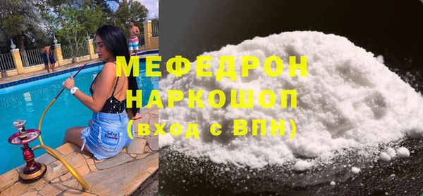 сатива Каменка