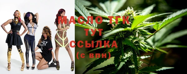 сатива Каменка