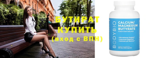 сатива Каменка