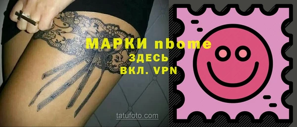 сатива Каменка