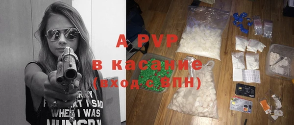 сатива Каменка