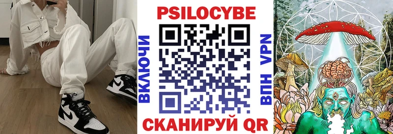 хочу Сызрань Галлюциногенные грибы мицелий